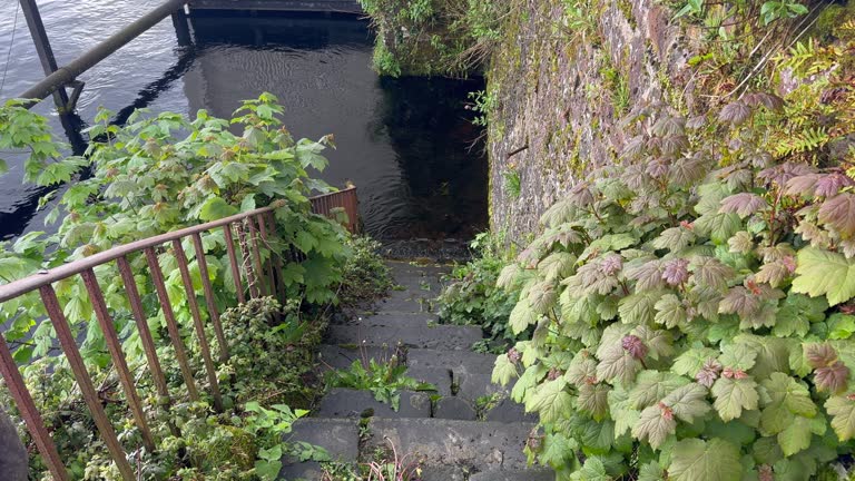 Old stone steps lead directly down into water on River Shannon, IRE