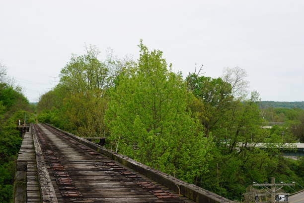 vecchia ferrovia e vista aperta - idler foto e immagini stock