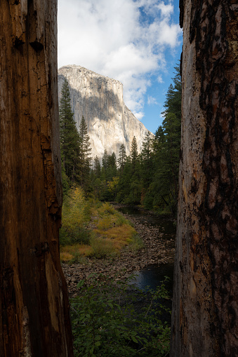 Capturing the beautiful and majestic Yosemite National Park, California