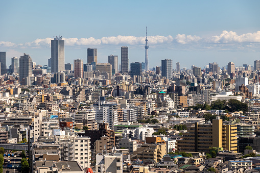 Tokyo cityscape with the Tokyo Sky Tree in Japan.