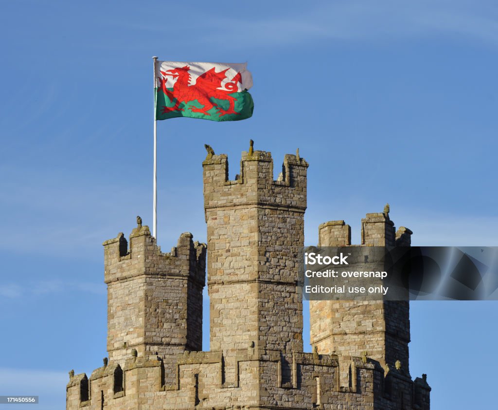 Bandeira do País de Gales - Royalty-free País de Gales Foto de stock