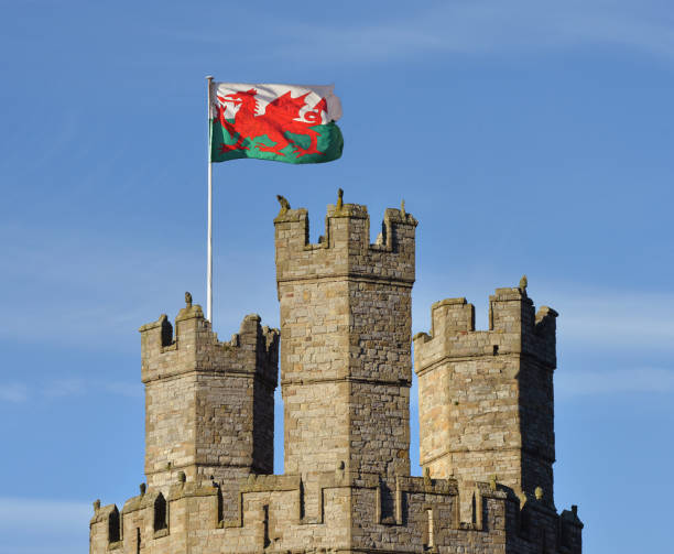 флаг уэльса - welsh culture wales welsh flag dragon стоковые фото и изображения