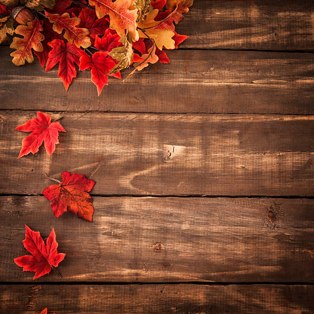 istock Autumn Decoration Background with Leafs 171450646
