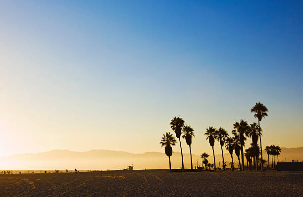 venezia spiaggia al tramonto - california meridionale foto e immagini stock