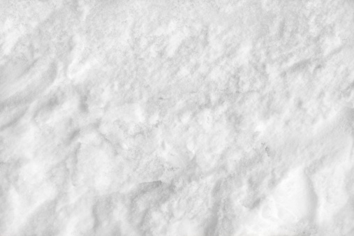 This image shows a close-up view of a snow covered juniper bush following a winter blizzard.