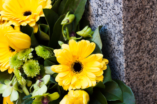 Closeup yellow daisys laying on granite headstone, full frame horizontal composition with copy space