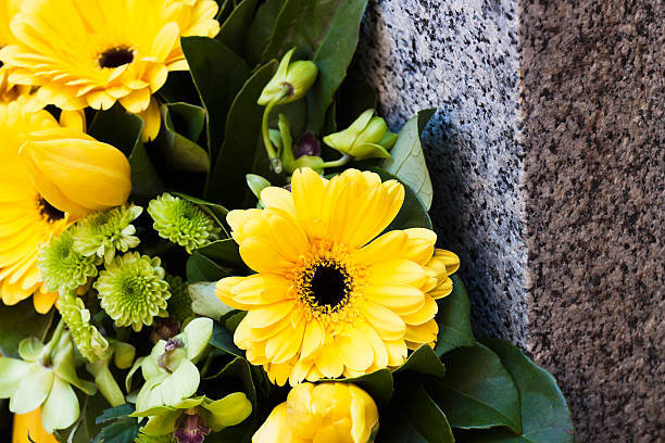 closeup yellow daisys on granite stone, copy space - blommor grav bildbanksfoton och bilder