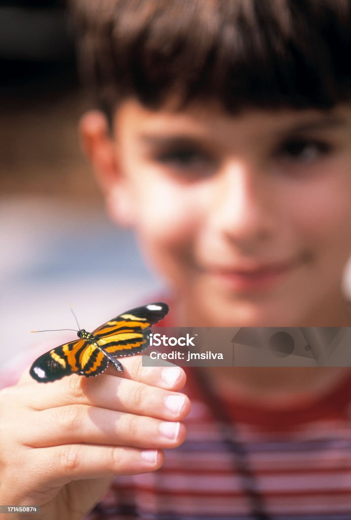 Mariposa - Foto de stock de 4-5 años libre de derechos