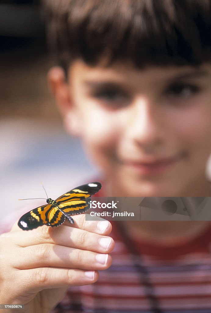 Бабочка - Стоковые фото 4-5 лет роялти-фри