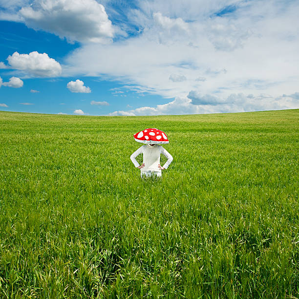 Girl disguised as a toadstool (amanita muscaria) in a green field.