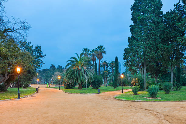 Barcelona, Spain Parc de la Ciutadella at dawn. It is a popular park in central Barcelona which hosts the city's zoo and the Parliament of Catalonia. parc de la ciutadella stock pictures, royalty-free photos & images