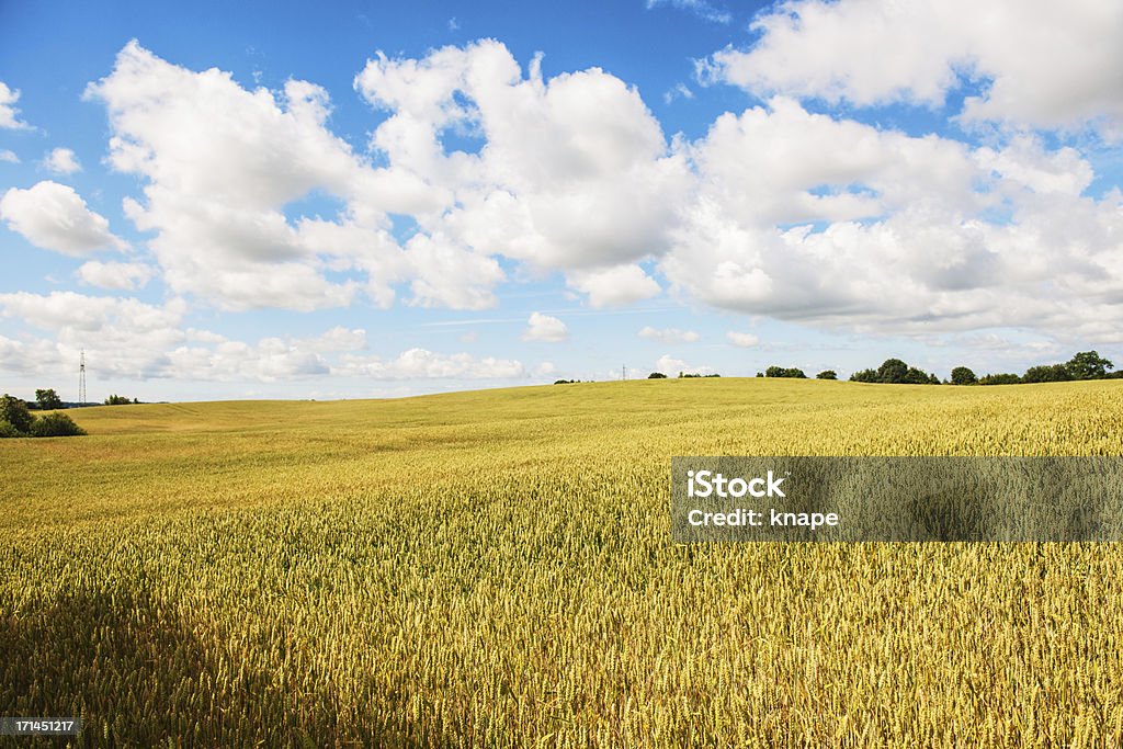 Magnifique paysage - Photo de Scène non urbaine libre de droits