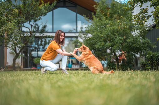 Full length image of a young Caucasian female dog trainer teaching a brown  dog to sit in the park behind the house. Low angle shot. Dog sitting.