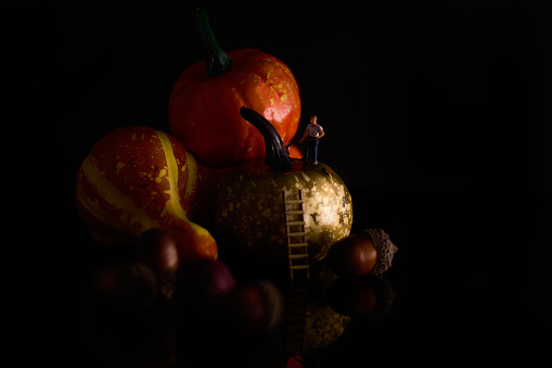 : A collection of pumpkins, including one with a ladder next to it, and a miniature human figure holding a sickle, all set against a dark background. This composition creates a unique and mysterious atmosphere, perfect for Halloween-themed projects and designs.
