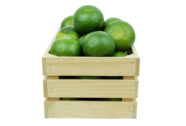 istock Green oranges in wooden crate isolated on white 1714547825