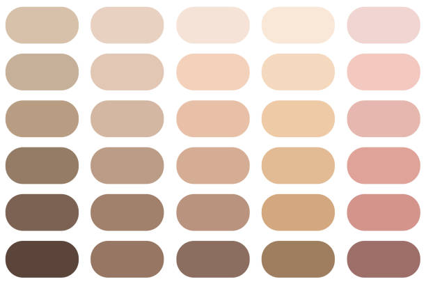 Skin Color Abstract 450+ Skin Color Palette Stock Photos, Pictures & Royalty-Free Images ...