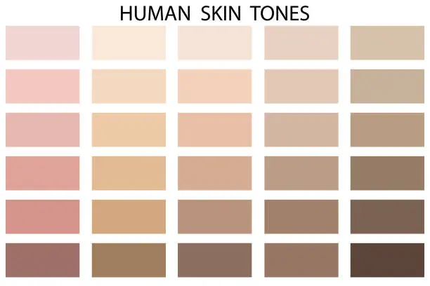 Vector illustration of Human skin tone color palette set. Vector illustration. EPS 10.