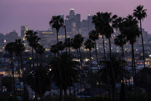 istock Love for Los Angeles 1714557064