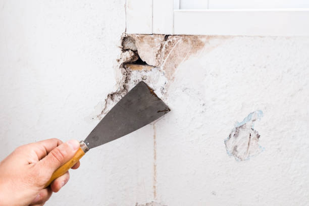 istock Applying white cement to a crack in a wall with a putty knife. 1714575269