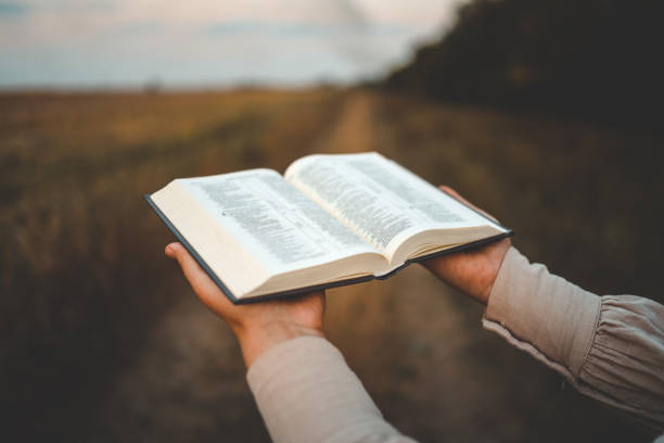 istock Bible in hands in nature, Christian concept 1714616326