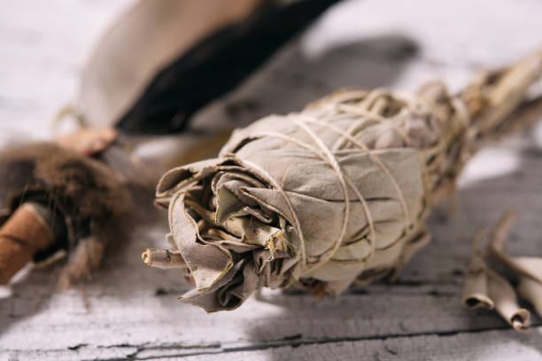 istock White Sage smudge stick and smudging feather 1714619178