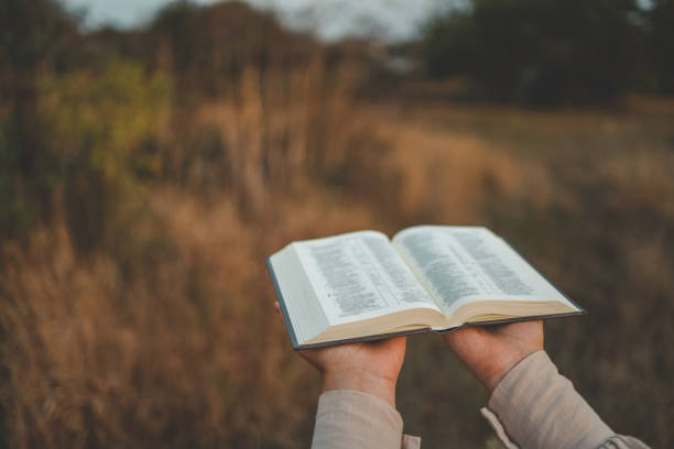 istock Bible in hands in nature, Christian concept 1714620413