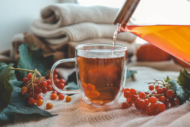 Cup of tea in autumn composition with viburnum Cup of tea in autumn composition with viburnum. tea party horizontal nobody indoors stock pictures, royalty-free photos & images