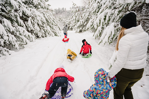 Family walks during snowfall in park. Dad pulling son on winter day. Children are rolling down hill on sledge in forest. Funny child with father, mother ride sled on snowy road in mountains. Back view