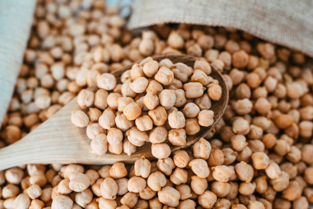 istock Dried chickpeas, Cicer arietinum, an important and nutritious ingredient in the Mediterranean diet. 1714637093