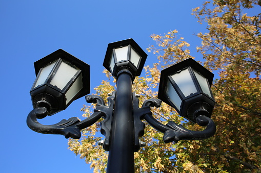 Rustic street lamp in front of tree branches