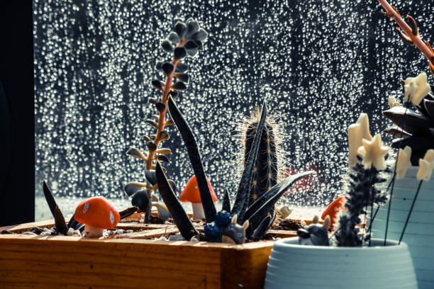 istock Ornamental cacti with miniature toy figures on the windowsill 1714651469