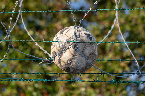 Old , abandoned soccer ball trapped in barb wire at the border, blurry trees background, security fencing