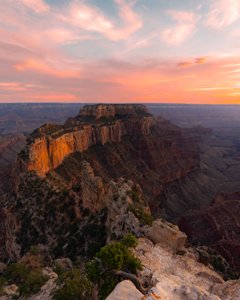 Grand Views in Arizona Taking in the vast landscape in Arizona horseshoe bend river stock pictures, royalty-free photos & images
