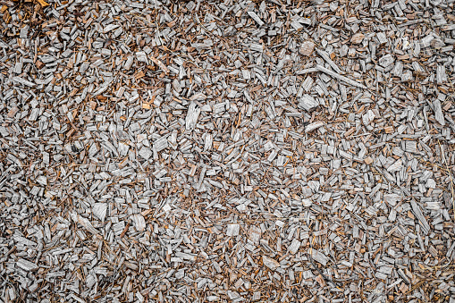 Natural background composed of wood chips, trees fallen to the ground for mulch.