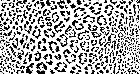 Seamless vector animal skin pattern. Jaguar leopard spots pattern. Black and white wildlife background. For fabric, textile, wrapping, cover, web etc.