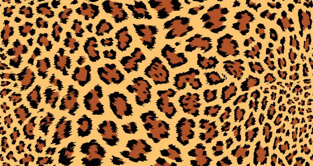 Vector illustration of Seamless vector animal skin pattern. Jaguar leopard spots pattern. Black and white wildlife background. For fabric, textile, wrapping, cover, web etc.