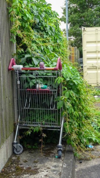 istock Trees flowing into a shopping trolley 1714696718
