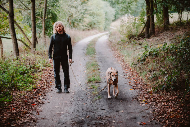 istock Man walking with his dog in the autumn forest 1714697938