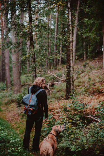 istock Man walking with his dog in the autumn forest 1714698526