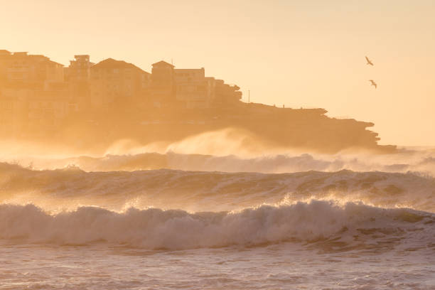 Bondi Beach sunrise with birds and waves Bondi Beach has been a popular tourist destination for over a century and attracts millions of visitors each year for its soft golden sand, clear blue waters, and nearby cafes, restaurants and shops. bondi beach sunrise stock pictures, royalty-free photos & images