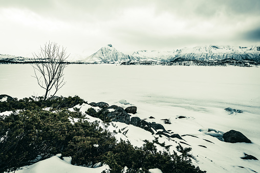 Scenic view over the Austnesfjorden in a winter landscape in the Lofoten archipel in Norway.