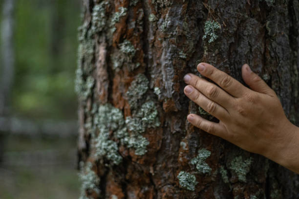 istock Save the planet. Hands gently hug the tree trunk, protecting it from being cut down. Protecting forests from deforestation. A man takes care of trees and tries to protect them. 1714732446