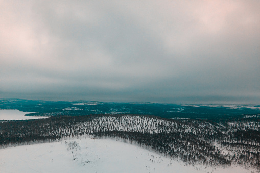 Finland winter landscape with rolling hills and endless pine tree forest
