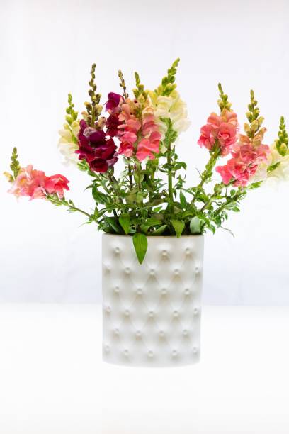 istock White ceramic vase with flowers inside, against a white background. 1714779105