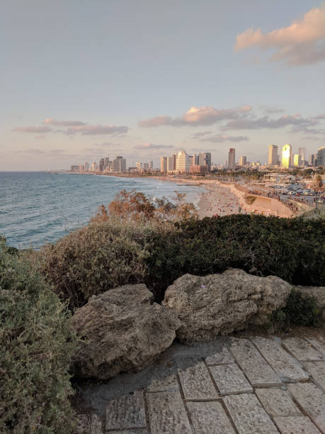 vista da cidade à beira-mar - israel tel aviv skyscraper seascape - fotografias e filmes do acervo