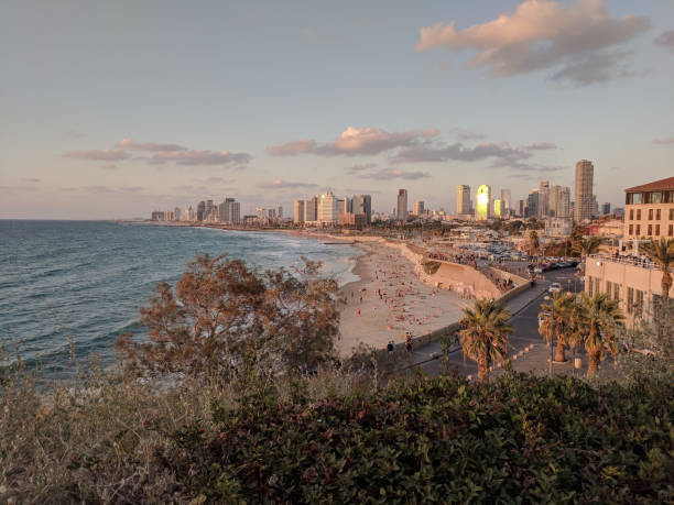 istock Coastline with a city standing by the sea 1714780271