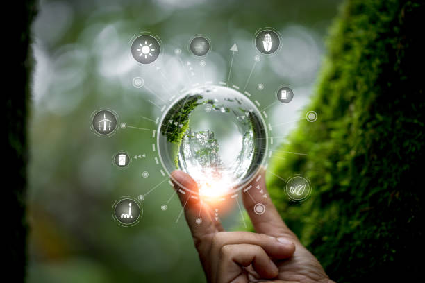 istock Hands protecting globe of green tree on nature background, ecology and environment. Hand holding green earth ESG icon for Environment Social and Governance, World sustainable environment concept. 1714794829