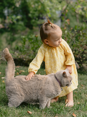 Beautiful child girl and fluffy cat in backyard garden