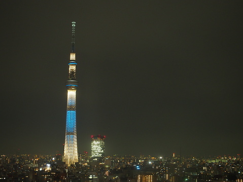 Tokyo sky tree, for use as background or copy space