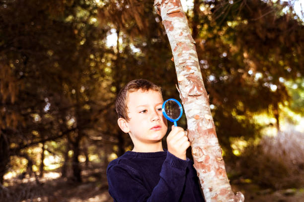 istock Child closely observes the trunk of a sick tree with a magnifying glass. 1714843964